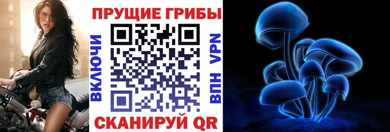 Псилоцибиновые грибы мухоморы  OMG рабочий сайт  Зеленокумск  купить наркотик 
